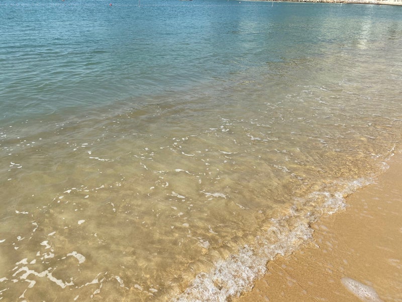 海4