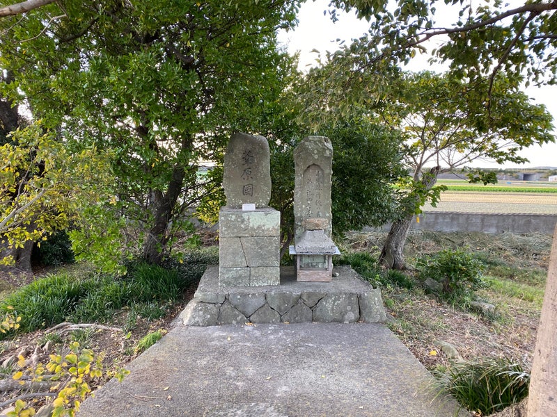淡路11