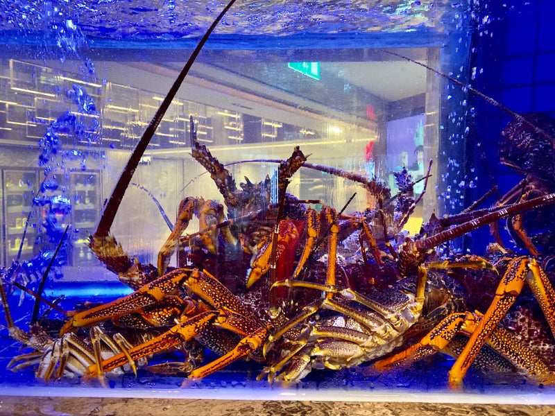 火鍋4