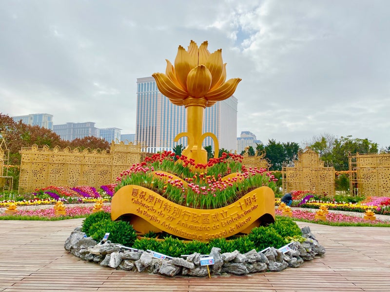 新年5
