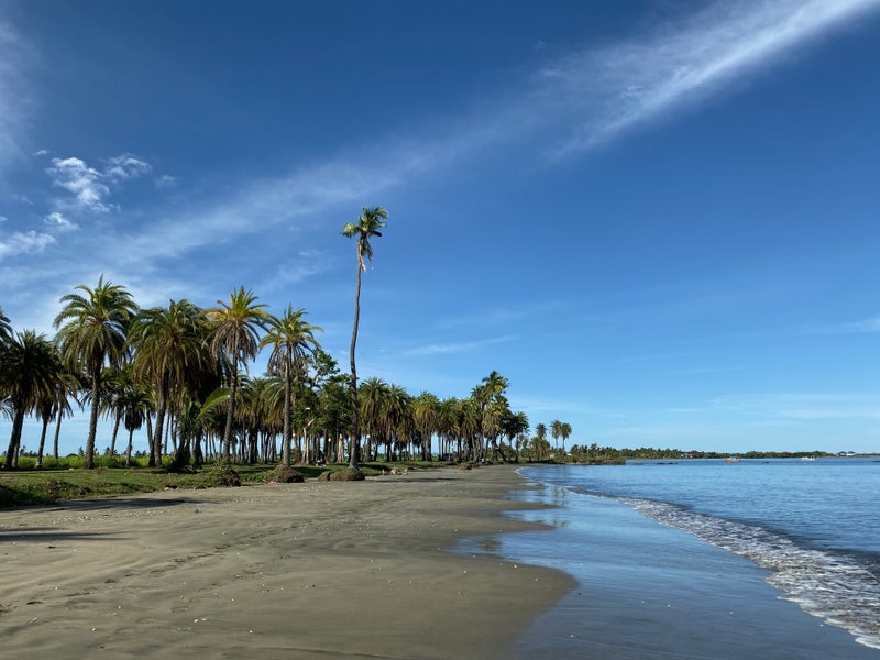 Fiji4