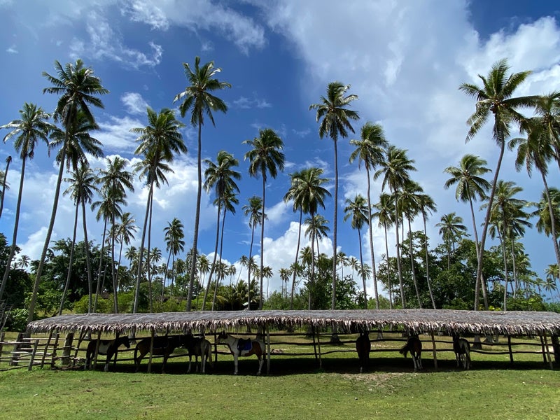 VanuatuHotel5