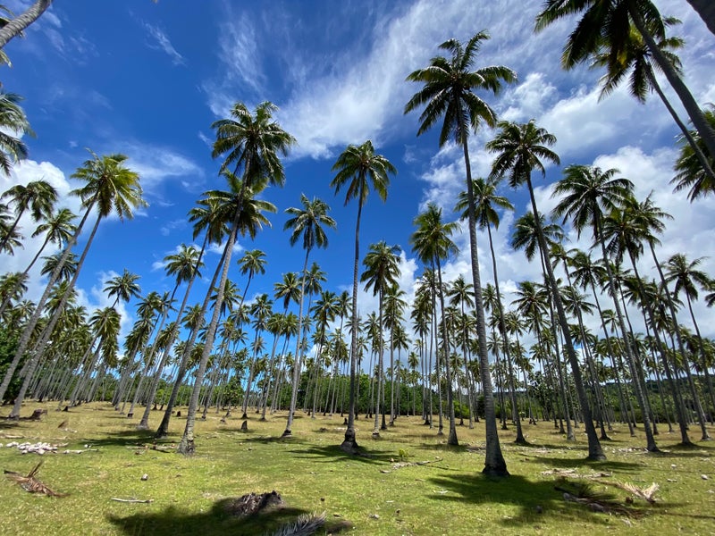 VanuatuHotel6