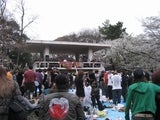 お花見　レイブ