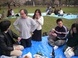 花見３