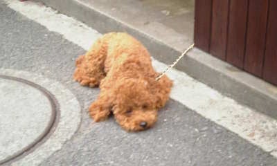 Image003