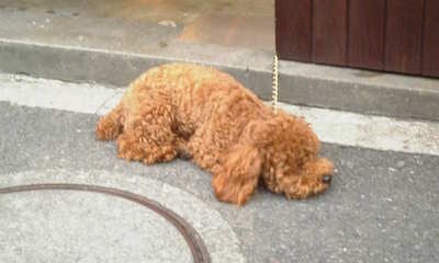 Image002
