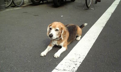 Image275