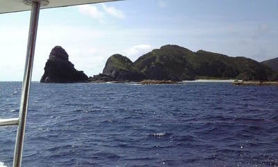Image586