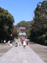 tsuru