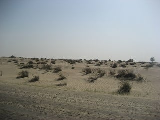 ２８歳で年収１億円＆著書３２万部の川島和正ブログ-dubai3-6